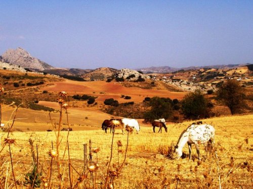 La Terre est magnifique et l'humanité trop nulle!