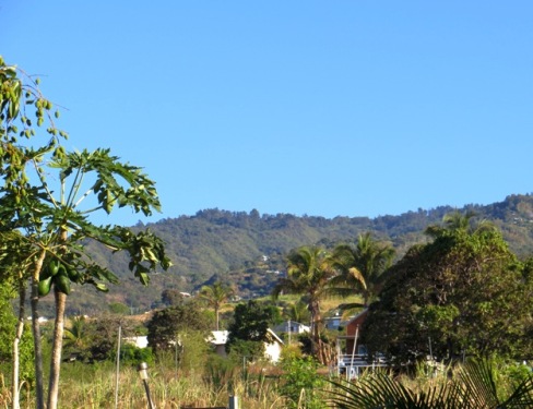 Campagne réunionnaise