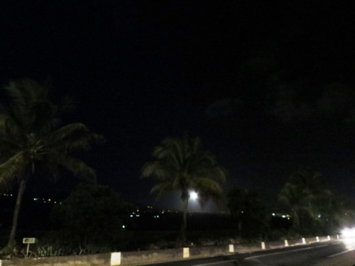 La lune pleine sous le cocotier