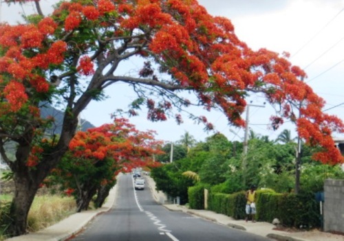 Vers les plages du Sud