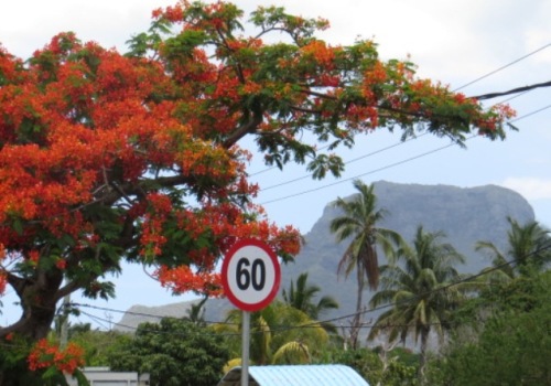 Le Morne des esclaves qui ont préféré la mort
