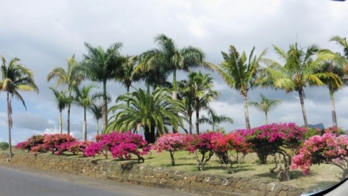 Le long de la route...