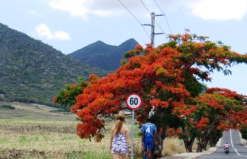 En marchant par la Lorraine avec mes sabots