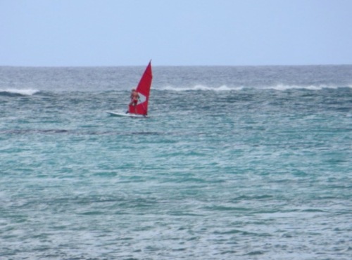 Un peu de windsurf 