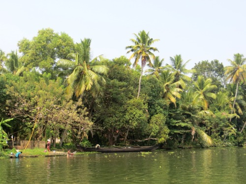 Elles lavent le lige en le battant à tour de bras !