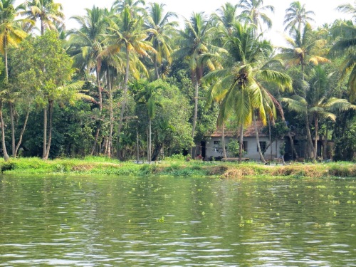 les enfants vont à l'école en boat bus!