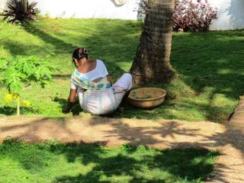 Dans le jardin de l'hôtel