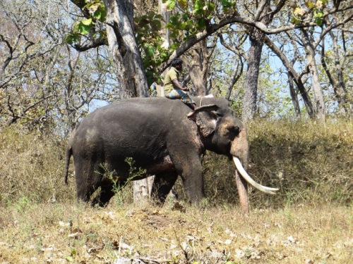 Au détour du chemin