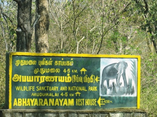 Chaque Etat a SA langue. Pas de traducteur !