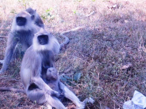 En roulant, à travers la vitre colorée du 4X4