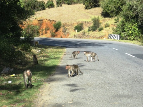 Sur la route à grande circulation devant le 4X4