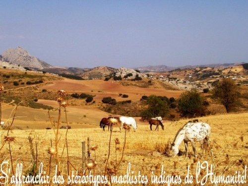 S'affranchirr des stéréotypes misogynes indignes de l'humanité!