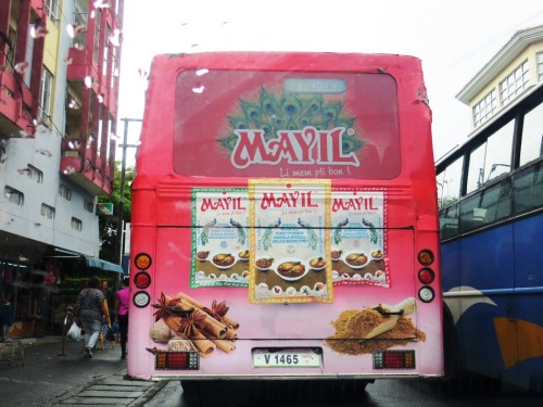 Des épices se promènent sous la pluie !