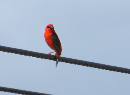 Les yeux dans les yeux, hahaha !