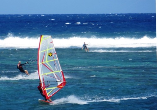 Surfeurs en tous genres