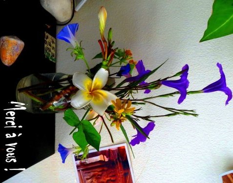 Merci aux visiteurs du Monde !