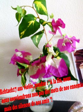 Une pensée pour Rehtaeh