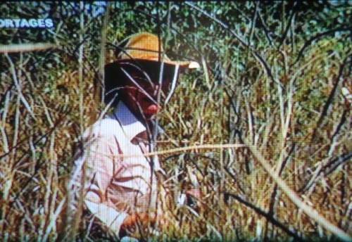 Des pisteurs l'aident à retrouver la trace du troupeau