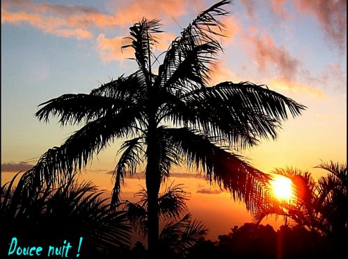 Etang salé les hauts