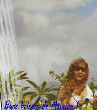 Un petit coin de ciel bleu dans la vitre de mon jardin sur le toit !