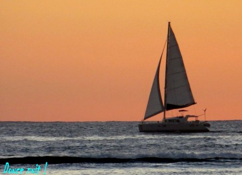 Voyage au bout de la nuit