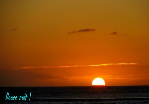 Le plongeon du soir!