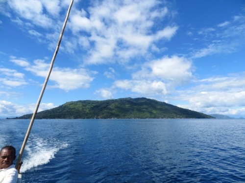 Nosy Komba, l'île des lémuriens