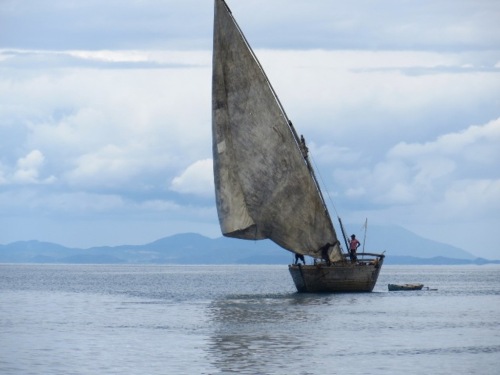 Un boutre rentre au port