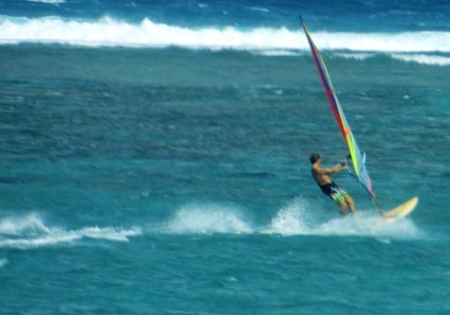 Dans la force du vent...