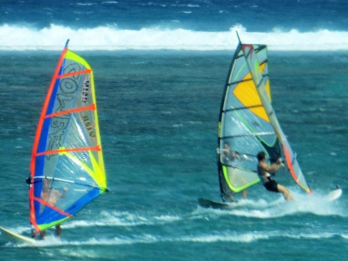 Croisements à risque !