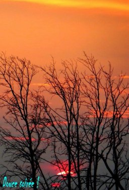 Derniers rayons du jour