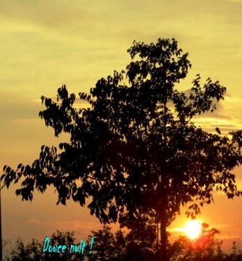 Demain il sera là !