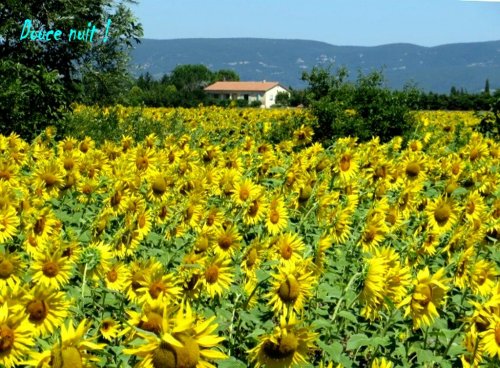 L'été en basse Ardèche !