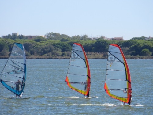 Des voiles  et du vent