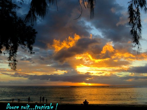 Douce nuit aux visiteurs du monde