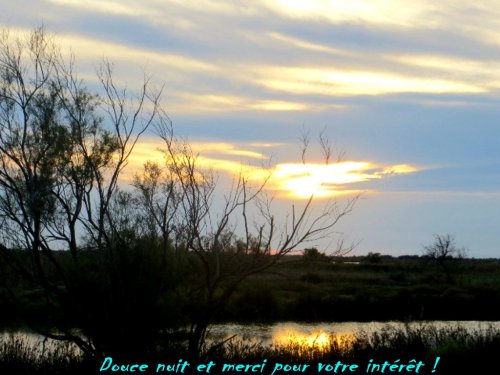 Souvenirs, souvenirs...(été 2013)