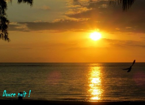 Plage de Flic en Flac, ce soir !