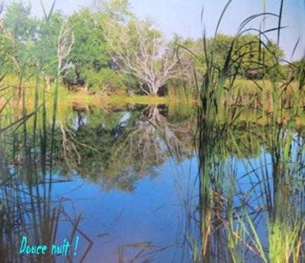 L'Etang du Gol (Réunion)