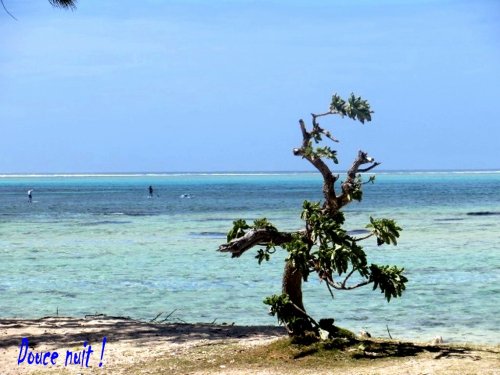 Dans le sud de Maurice, hier...