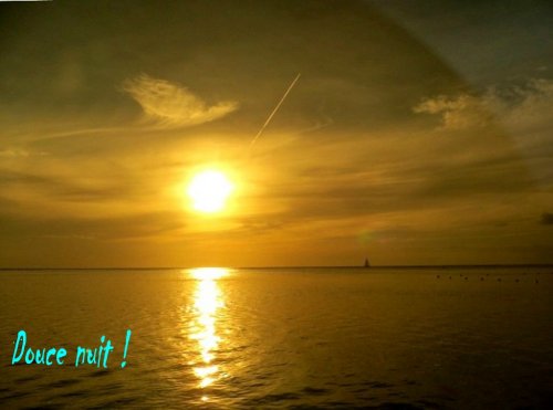 Bonne nuit les petits !