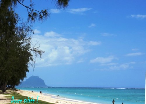 Un p'tit plongeon ce midi !