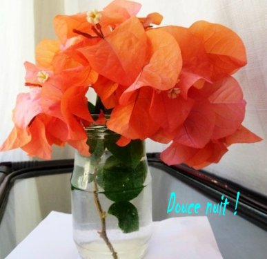 Sur le bord de la route !