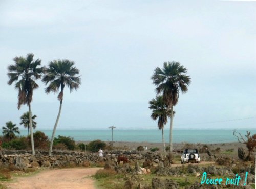 Paysage de Rodrigue (sud-est)