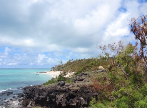 La vie est belle ne la laissons pas gâcher par la bêtise et la méchanceté ;) (Rodrirgiues)