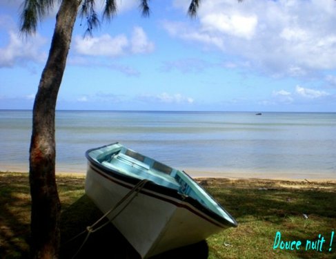 Rodrigues(Photo de Julie)