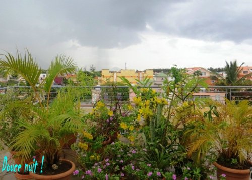 Mon jardin sur le toit...sous l'orage, ce jour.