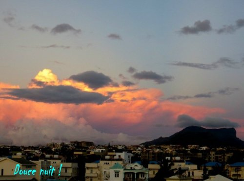 Cyrano sommeille au fond !