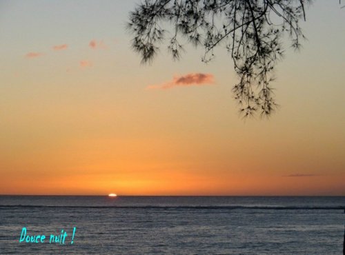 Ce soir à la sortire de l'eau