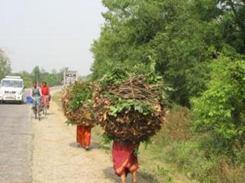 Des femmes portent de lourdes charges! Site d'Amnesty international