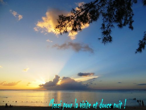 Merci pour la visite !